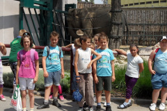 20110826_1036507860_kirandulas8