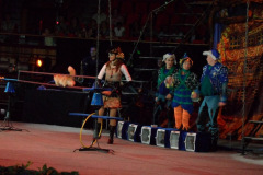 20110826_1384103543_kirandulas12