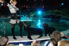 20110826_1827385306_kirandulas15