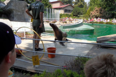 20110826_1995928260_kirandulas4