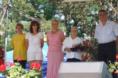 20110826_1100914818_falunap10