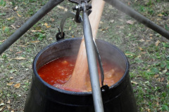 20110826_1153566999_falunap37