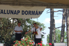 20110826_1616618615_falunap9