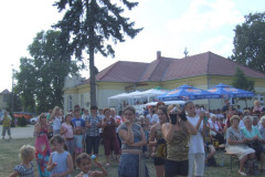 20110826_1701649751_falunap14