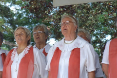 20110826_1731615792_falunap13