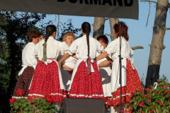 20110826_1740817973_falunap20