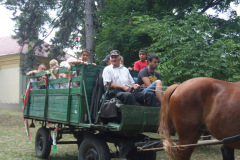20110826_1882636527_falunap1